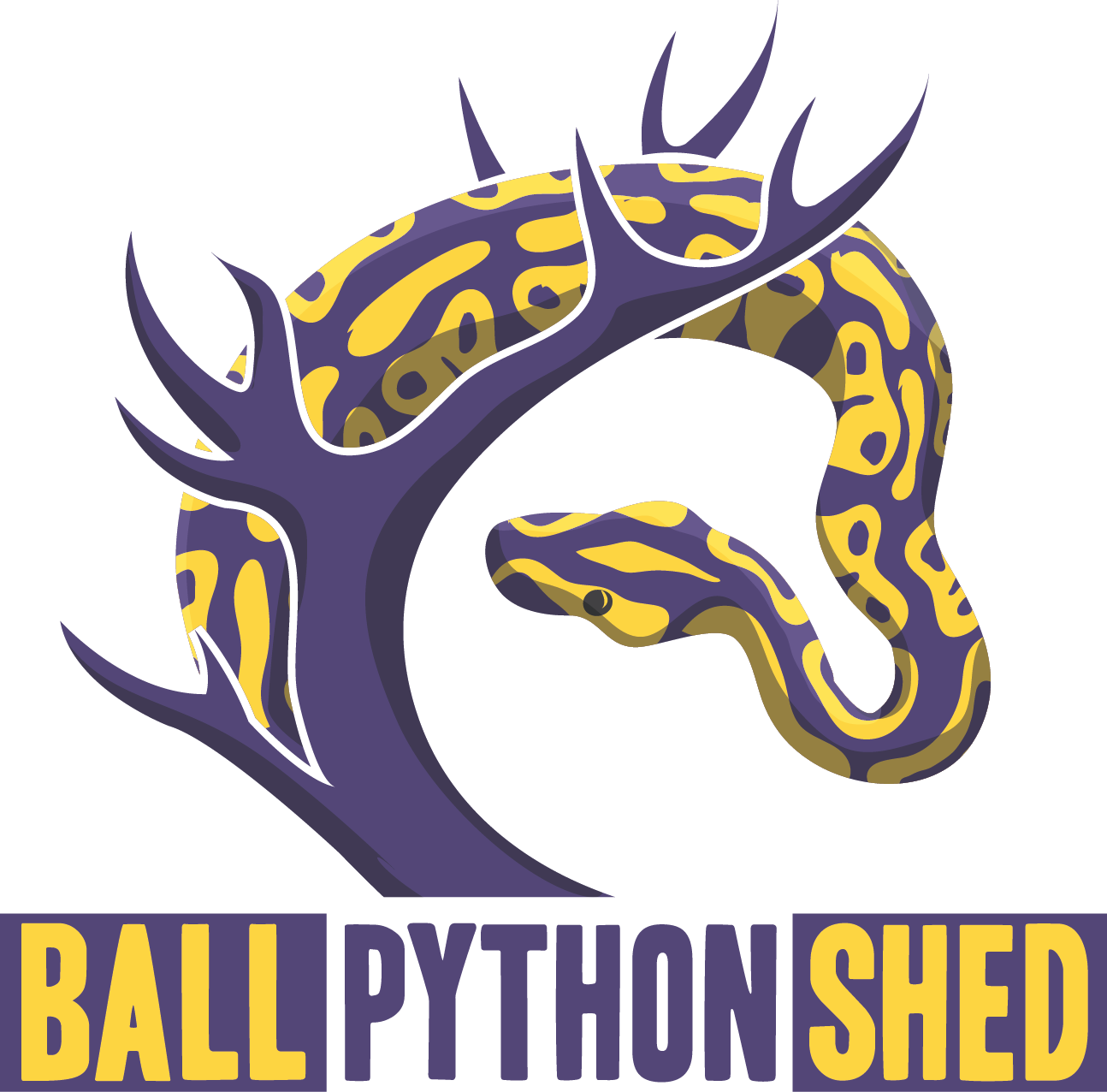Ball Python Shed